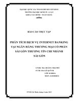 Phân tích dịch vụ Internet Banking tại ngân hàng thương mại cổ phần Sài Gòn thương tín chi nhánh Sài Gòn (Báo cáo thực tập)