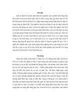 THU HOẠC KINH tế CHÍNH TRỊ   CUỘC CÁCH MẠNG CÔNG NGHIỆP ANH TRONG LỊCH sử, GIÁ TRỊ và ý NGHĨA đối với đổi mới nền KINH tế ở VIỆT NAM