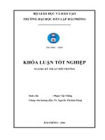 Nghiên cứu khả năng xử lý nước thải sản xuất mắm của bãi lọc trồng cây sậy dòng chảy ngang (Khóa luận tốt nghiệp)