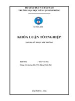 Thiết kế hệ thống xử lý nước thải trong trang trại chăn nuôi lợn công suất 300m3 ngày đêm (Khóa luận tốt nghiệp)