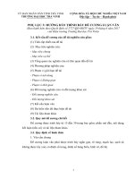 PHU LUC 3 HUONG DAN TRINH BAY DE CUONG LUAN VAN THAC SY DH  TRA VINH