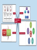 4  thuốc chẹn beta adrenergic2