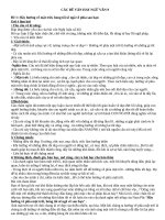 Văn nghị luận hay nhất