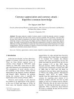 Currency appreciation and currency attack - Imperfect common knowledge