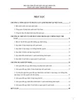 BÁO CÁO TÓM TẮT RÀ SOÁT CÁC QUY ĐỊNH CỦA PHÁP LUẬT CẠNH TRANH VIỆT NAM