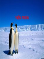 Kỹ thuật bào chế  viên tròn