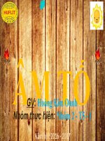 Dẫn luận ngôn ngữ  ÂM TỐ file ppt (FULL)