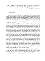 THỰC TRẠNG VÀ MỘT SỐ GIẢI PHÁP NÂNG CAO NĂNG SUẤT CÁC NGÀNH CÔNG NGHIỆP CHỦ LỰC CỦA VIỆT NAM