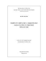 NGHIÊN CỨU CHIẾN LƯỢC E  MARKETING HẠT SALBA CỦA CÔNG TY TNHH TMDV NÔNG SẢN VIỆT LUẬN VĂN TỐT NGHIỆP ĐẠI HỌC NGÀNH KINH TẾ NÔNG LÂM
