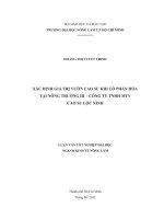 XÁC ĐỊNH GIÁ TRỊ VƯỜN CAO SU KHI CỔ PHẦN HÓA TẠI NÔNG TRƯỜNG III – CÔNG TY TNHH MTV CAO SU LỘC NINH LUẬN VĂN TỐT NGHIỆP ĐẠI HỌC NGÀNH KINH TẾ NÔNG LÂM