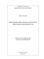 PHÂN TÍCH HOẠT ĐỘNG TÍN DỤNG TẠI NGÂN HÀNG THƯƠNG MẠI CỔ PHẦN PHƯƠNG NAM KHÓA LUẬN TỐT NGHIỆP ĐẠI HỌC NGÀNH QUẢN TRỊ KINH DOANH