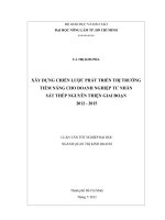 XÂY DỰNG CHIẾN LƯỢC PHÁT TRIỂN THỊ TRƯỜNG TIỀM NĂNG CHO DOANH NGHIỆP TƯ NHÂN SẮT THÉP NGUYỄN THIỆN GIAI ĐOẠN 2012  2015