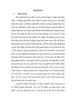 Một số quan niệm khác nhau về đối tượng và phương pháp điều chỉnh của luật hành chính