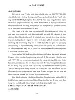 SKKN Lựa chọn và bồi dưỡng Ban chấp hành Đội ở trường THCS