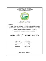 Nghiên cứu ảnh hưởng của nồng độ chất kích thích sinh trưởng indole3aceric acid và indole3butanic acid đến khả năng ra rễ của hom cây Phay (Duabanga grandis flora Roxb.ex DC) (Khóa luận tốt nghiệp)