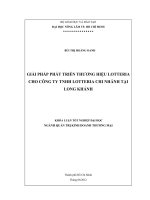 GIẢI PHÁP PHÁT TRIỂN THƯƠNG HIỆU LOTTERIA CHO CÔNG TY TNHH LOTTERIA CHI NHÁNH TẠI LONG KHÁNH