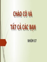 QUÁ TRÌNH SINH TRƯỞNG CÂY CAFE