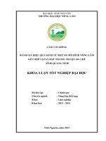 Đánh giá hiệu quả kinh tế một số mô hình nông lâm kết hợp tại xã Đạp Thanh  Huyện Ba Chẽ  tỉnh Quảng Ninh (Khóa luận tốt nghiệp)