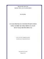 CÁC GIẢI PHÁP QUẢN LÝ RỦI RO TÍN DỤNG NHẰM NÂNG CAO HIỆU QUẢ HOẠT ĐỘNG CỦA NGÂN HÀNG NGOẠI THƯƠNG ĐỒNG NAI LUẬN VĂN TỐT NGHIỆP ĐẠI HOC NGÀNH QUẢN TRỊ KINH DOANH