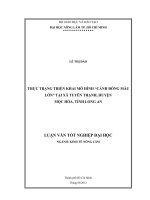 THỰC TRẠNG TRIỂN KHAI MÔ HÌNH “CÁNH ĐỒNG MẪU LỚN” TẠI XÃ TUYÊN THẠNH, HUYỆN MỘC HÓA, TỈNH LONG AN LUẬN VĂN TỐT NGHIỆP ĐẠI HỌC NGÀNH: KINH TẾ NÔNG LÂM