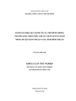 ĐÁNH GIÁ HIỆU QUẢ KINH TẾ CỦA MÔ HÌNH TRỒNG THANH LONG THEO TIÊU CHUẨN VIETGAP Ở XÃ HÀM MINH, HUYỆN HÀM THUẬN NAM, TỈNH BÌNH THUẬN