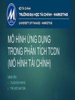 MÔ HÌNH ỨNG DỤNG TRONG PHÂN TÍCH TCDN (MÔ HÌNH TÀI CHÍNH)
