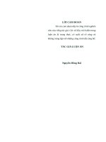 Đào tạo nguồn nhân lực dân tộc thiểu số ở vùng tây bắc việt nam hiện nay 