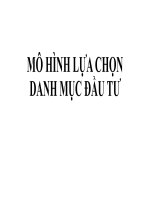 lập mô hình danh mục đầu tư