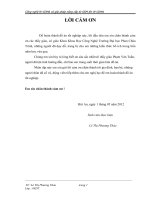 Công nghệ w CDMA và giải pháp nâng cấp từ mạng GSM lên w CDMA 