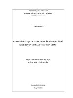 ĐÁNH GIÁ HIỆU QUẢ KINH TẾ CỦA CÂY BẮP TẠI XÃ PHÚ KIẾT HUYỆN CHỢ GẠO TỈNH TIỀN GIANG LUẬN VĂN TỐT NGHIỆP ĐẠI HỌC NGÀNH KINH TẾ NÔNG LÂM