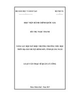 Năng lực đội ngũ hiệu trưởng trường tiểu học trên địa bàn huyện Bình Sơn, tỉnh Quảng Ngãi (Luận văn thạc sĩ)