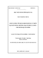 Chất lượng tín dụng khách hàng cá nhân tại Ngân hàng thương mại cổ phần Á Châu – Chi nhánh Quảng Bình (Luận văn thạc sĩ)