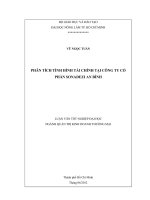 PHÂN TÍCH TÌNH HÌNH TÀI CHÍNH TẠI CÔNG TY CỔ PHẦN SONADEZI AN BÌNH