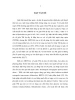 Đánh giá kết quả tiêm histoacryl trong điều trị giãn tĩnh mạch phình vị ở bệnh nhân xơ gan