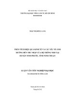 PHÂN TÍCH HIỆU QUẢ KINH TẾ VÀ CÁC YẾU TỐ ẢNH HƯỞNG ĐẾN THU NHẬP CỦA HỘ TRỒNG NHO TẠI HUYỆN NINH PHƯỚC, TỈNH NINH THUẬN