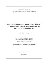 NÂNG CAO NĂNG LỰC CẠNH TRANH CỦA SẢN PHẨM MÁY IN PHUN CITRONIX TẠI CÔNG TY TNHH THƯƠNG MẠI DỊCH VỤ  KỸ THUẬT HOÀNG VŨ
