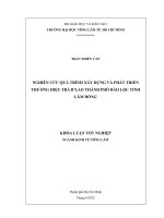 NGHIÊN CỨU QUÁ TRÌNH XÂY DỰNG VÀ PHÁT TRIỂN THƯƠNG HIỆU TRÀ B’LAO THÀNH PHỐ BẢO LỘC TỈNH LÂM ĐỒNG