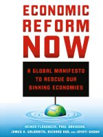 Flassbeck et al   economic reform now; a global manifesto to rescue our sinking economies (2013) 