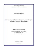 GIẢI PHÁP HẠN CHẾ RỦI RO TÍN DỤNG TẠI QUỸ TÍN DỤNG NHÂN DÂN AN THẠNH – BÌNH DƯƠNG