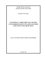 Tách dòng và biểu hiện gen mã hóa cytochrome p450 từ DNA metagenome suối nước nóng bình châu 