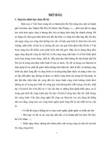 Nghiên cứu đề xuất giải pháp khắc phục sự cố trong thi công cọc barette trên địa bàn hà nội 