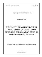 Xử phạt vi phạm hành chính trong lĩnh vực giao thông đường bộ trên địa bàn quận 10, TP.HCM (Luận văn thạc sĩ)