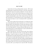 nghiên cứu hiệu quả bước đầu điều trị ung thư biểu mô tế bào gan bằng đốt sóng cao tần tại khoa chẩn đoán hình ảnh bệnh viện bạch mại