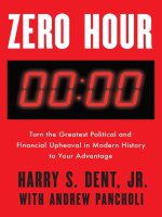 Dent  pancholi   zero hour; turn the greatest political and financial upheaval in modern history to your advantage (2017) 