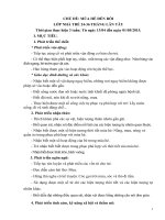 CHỦ ĐỀ MÙA HÈ ĐẾN RỒI (cHỈNH SỬA)