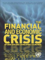 UN   the financial and economic crisis of 2008 2009 and developing countries (2010) 