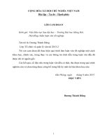 Một số biện pháp nâng cao năng lực cạnh tranh của công ty TNHH cảng hải an 