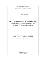 PHÂN TÍCH TÌNH HÌNH TÍN DỤNG NGẮN HẠN TẠI QUỸ TÍN DỤNG NHÂN DÂN TÂN HỘI XÃ TÂN HỘI HUYỆN ĐỨC TRỌNG TỈNH LÂM ĐỒNG