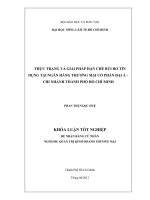 THỰC TRẠNG VÀ GIẢI PHÁP HẠN CHẾ RỦI RO TÍN DỤNG TẠI NGÂN HÀNG THƯƠNG MẠI CỔ PHẦN ĐẠI Á – CHI NHÁNH THÀNH PHỐ HỒ CHÍ MINH