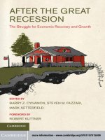 Cynamon et al (eds )   after the great recession; the struggle for economic recovery and growth (2013) 
